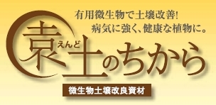 �L�p�������œy����P�@���y�̂�����