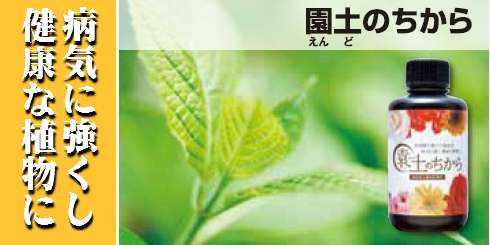 �a�C��\�h�����N�ȐA���Ɂ@���y�̂�����