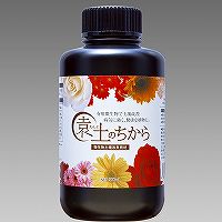 �������y����ǎ��ށ@���y�̂�����