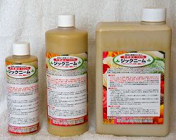 �j�[���I�C���@�W�b�N�j�[�����i�ʐ^